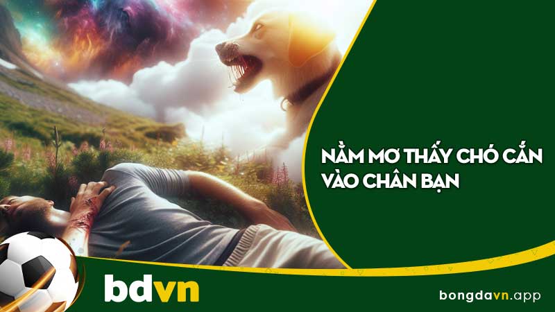 Nằm mơ thấy chó cắn vào chân bạn