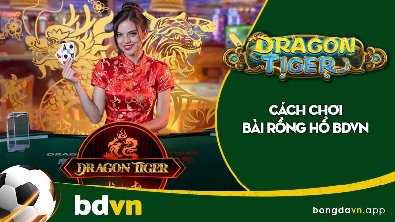 Cách chơi bài Rồng Hổ Bdvn - Luật chơi, cách đặt cược và kinh nghiệm chơi